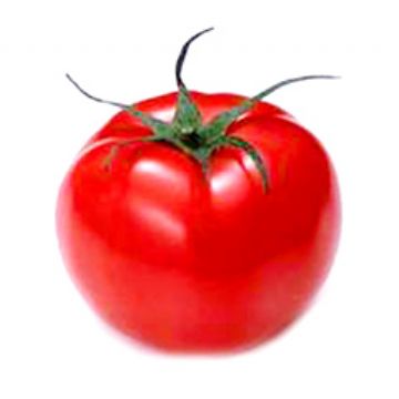  Supply: Lycopene 